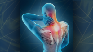 Read more about the article The Biology of Stress