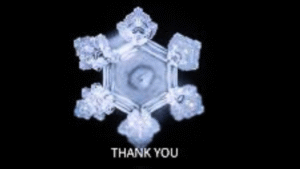 Read more about the article What Is Water? A VHE Perspective